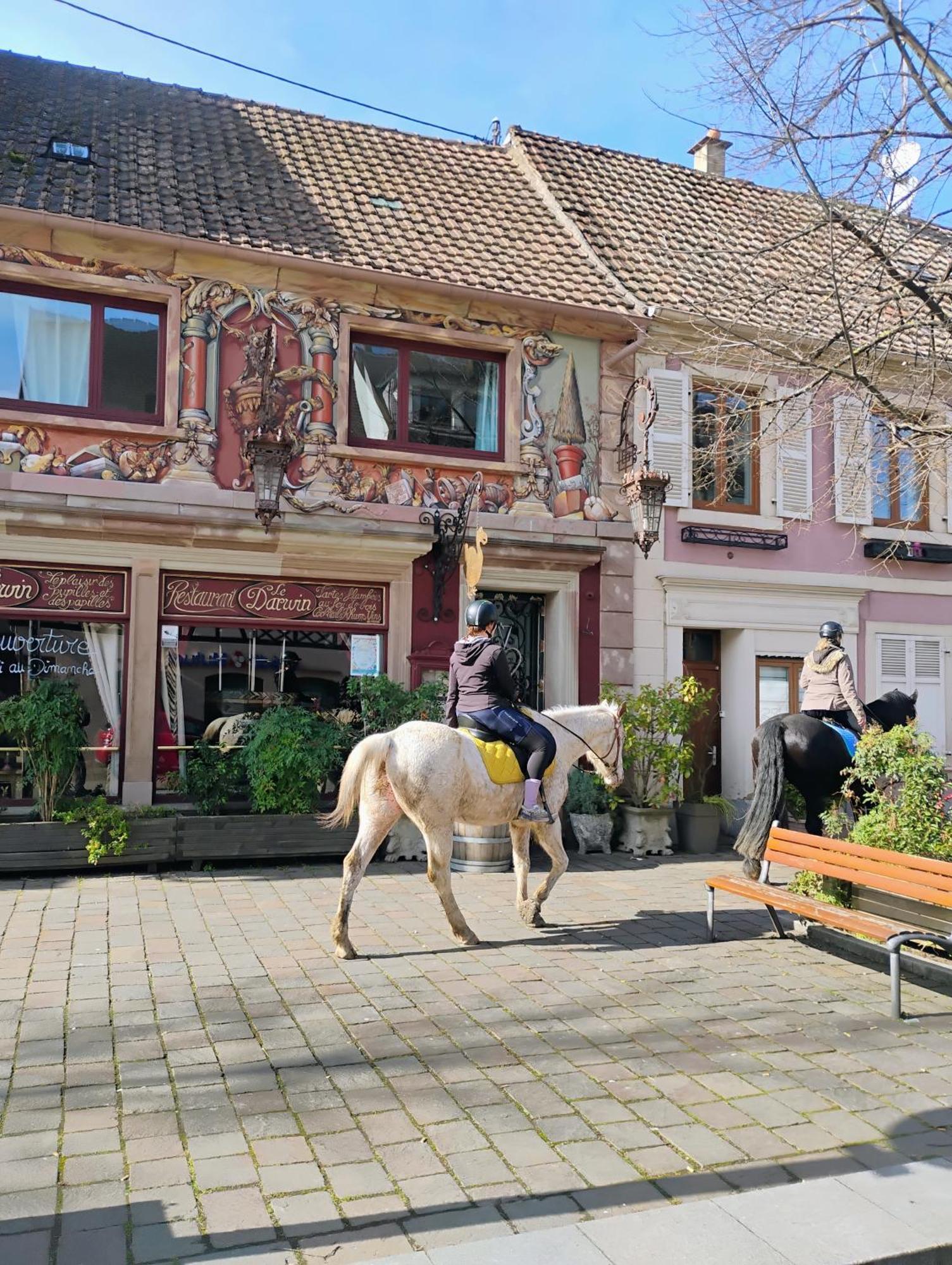 Gite Le Marronnier - Au Calme - Parking & Terrasse - Pres De Colmar Et Riquewihr - Route Des Vins Шатенуа Екстер'єр фото