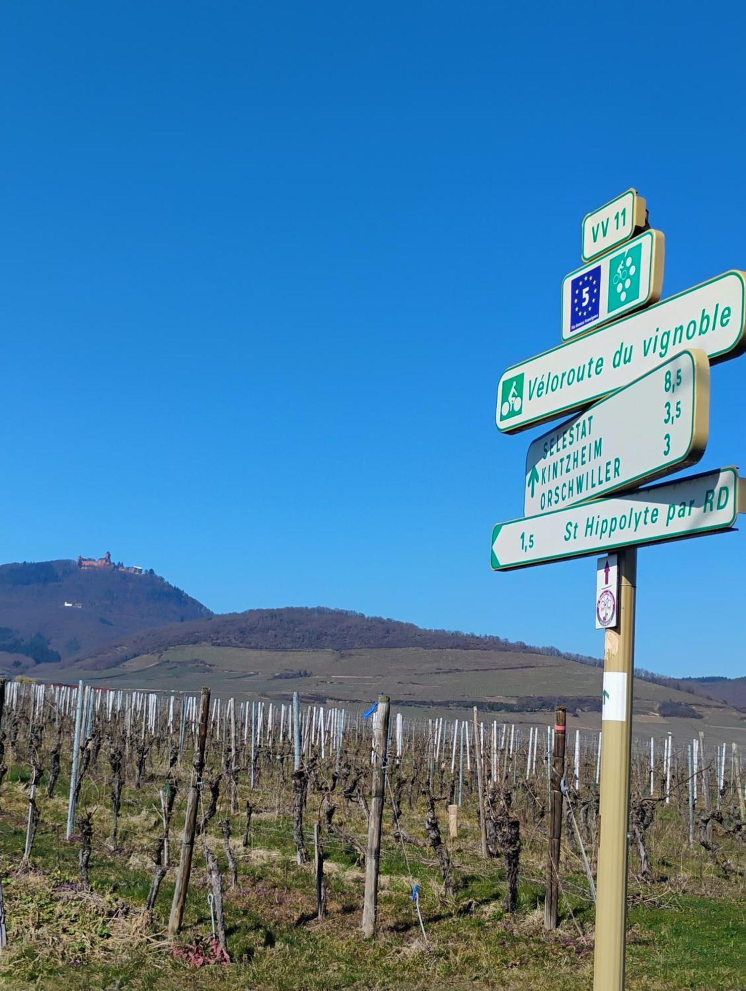 Gite Le Marronnier - Au Calme - Parking & Terrasse - Pres De Colmar Et Riquewihr - Route Des Vins Шатенуа Екстер'єр фото
