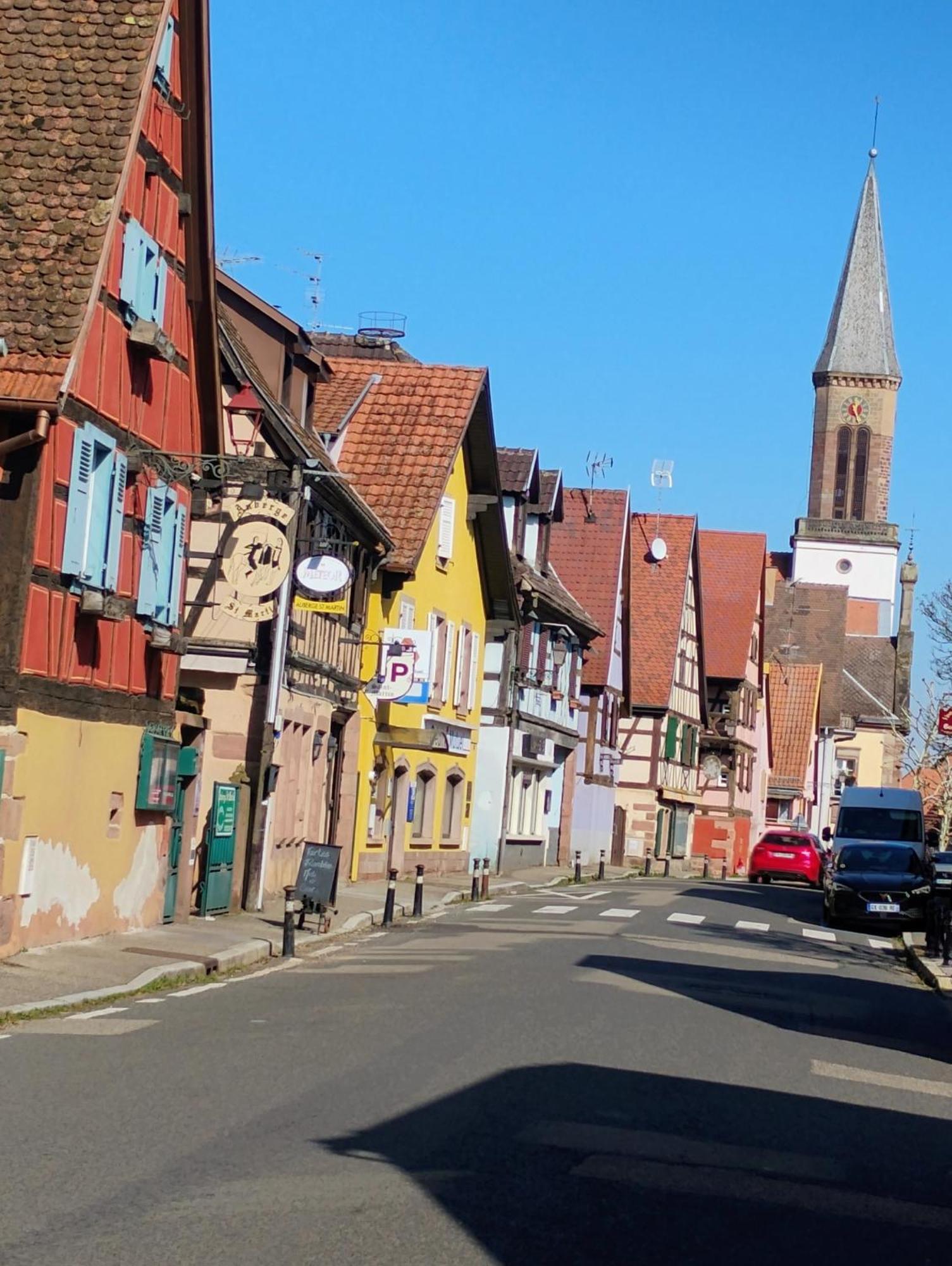 Gite Le Marronnier - Au Calme - Parking & Terrasse - Pres De Colmar Et Riquewihr - Route Des Vins Шатенуа Екстер'єр фото
