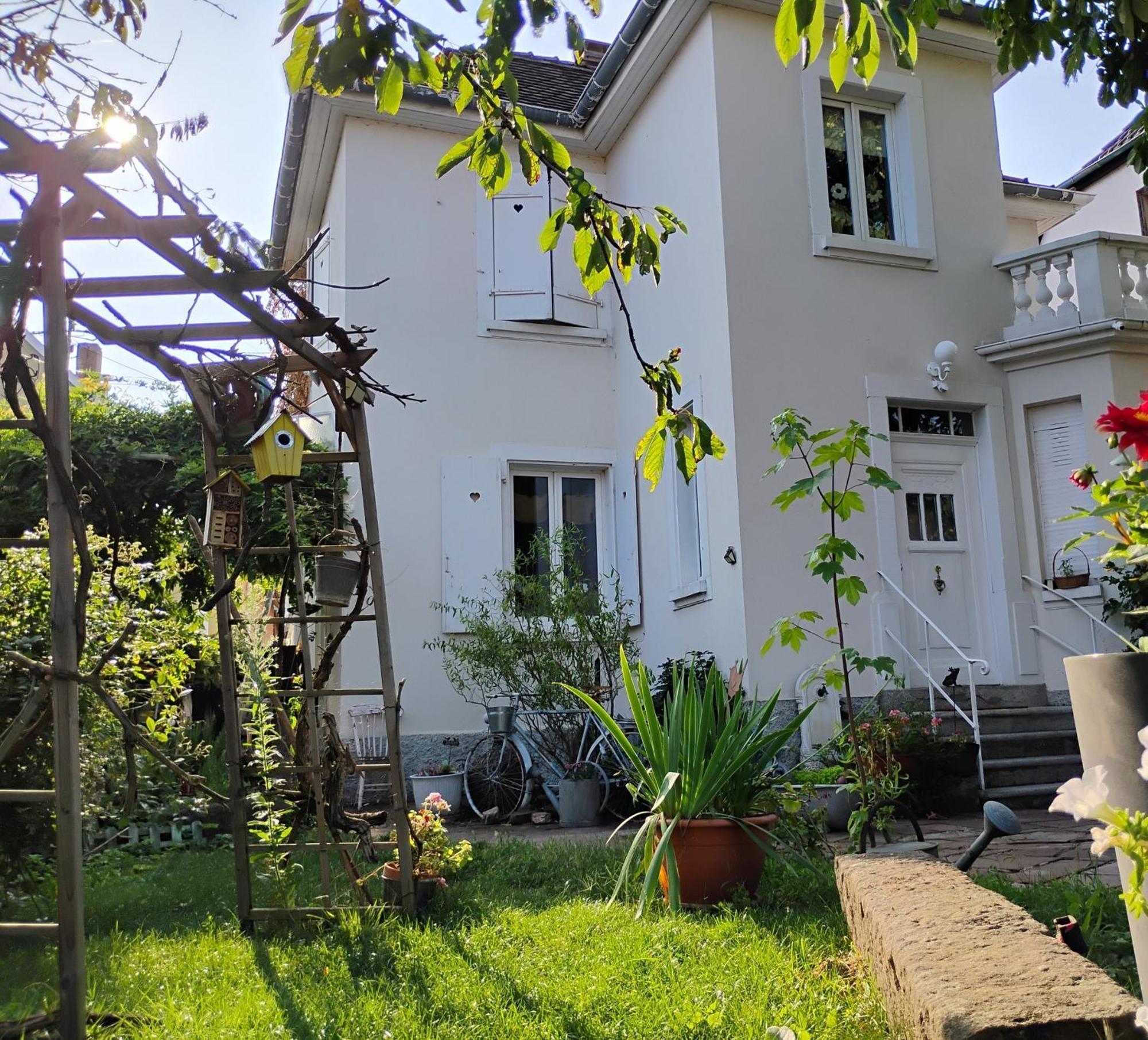 Gite Le Marronnier - Au Calme - Parking & Terrasse - Pres De Colmar Et Riquewihr - Route Des Vins Шатенуа Екстер'єр фото