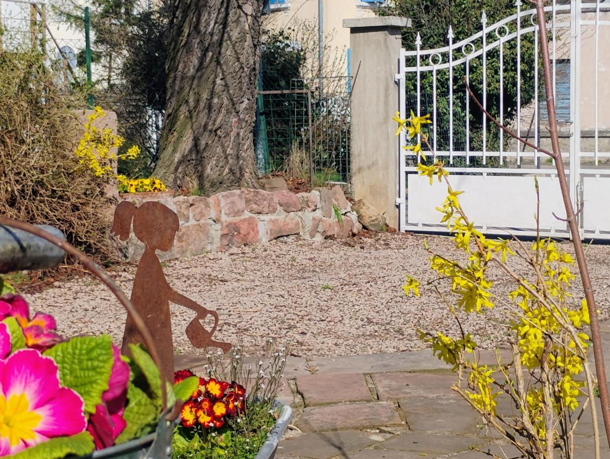 Gite Le Marronnier - Au Calme - Parking & Terrasse - Pres De Colmar Et Riquewihr - Route Des Vins Шатенуа Екстер'єр фото