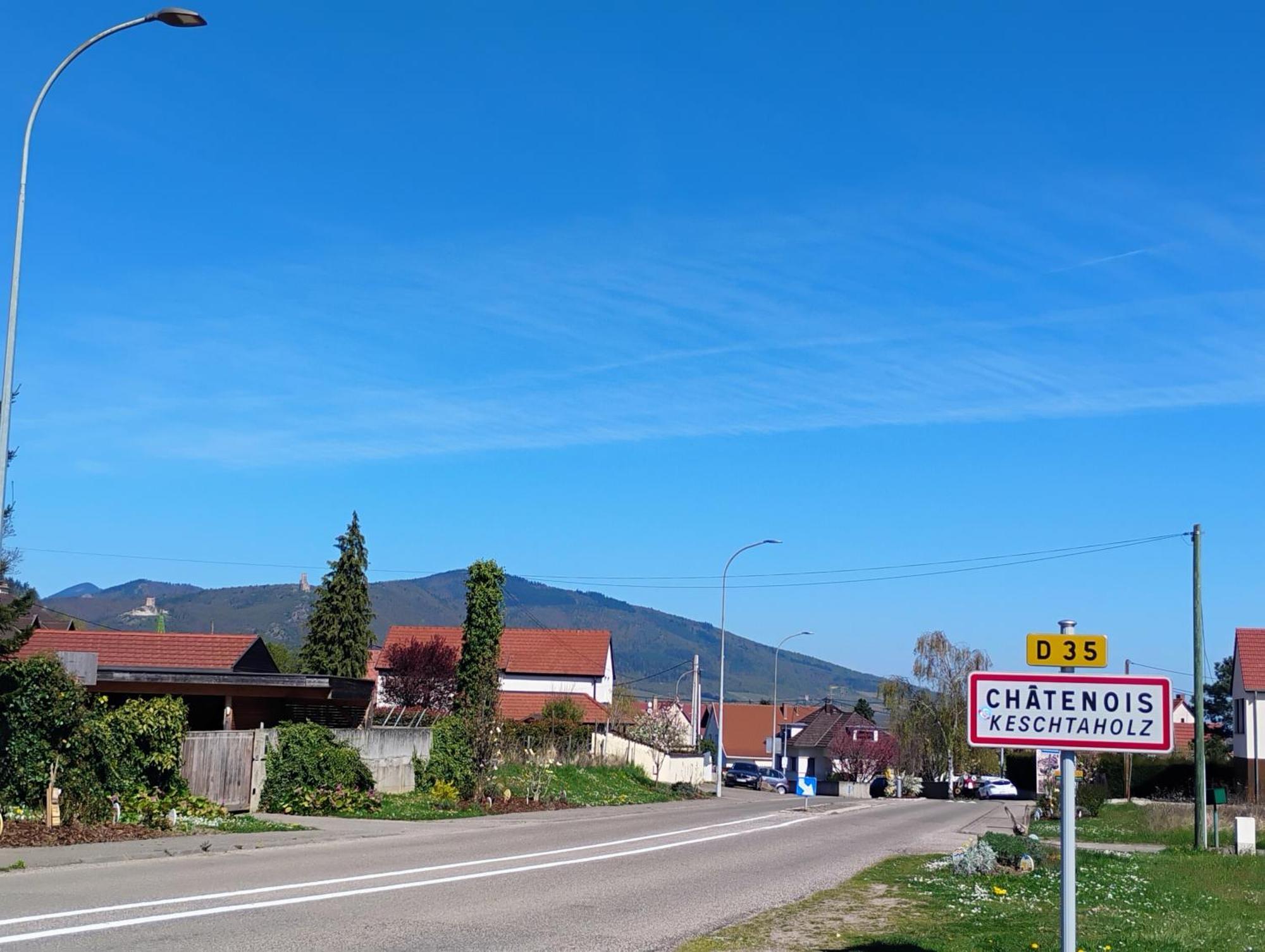 Gite Le Marronnier - Au Calme - Parking & Terrasse - Pres De Colmar Et Riquewihr - Route Des Vins Шатенуа Екстер'єр фото