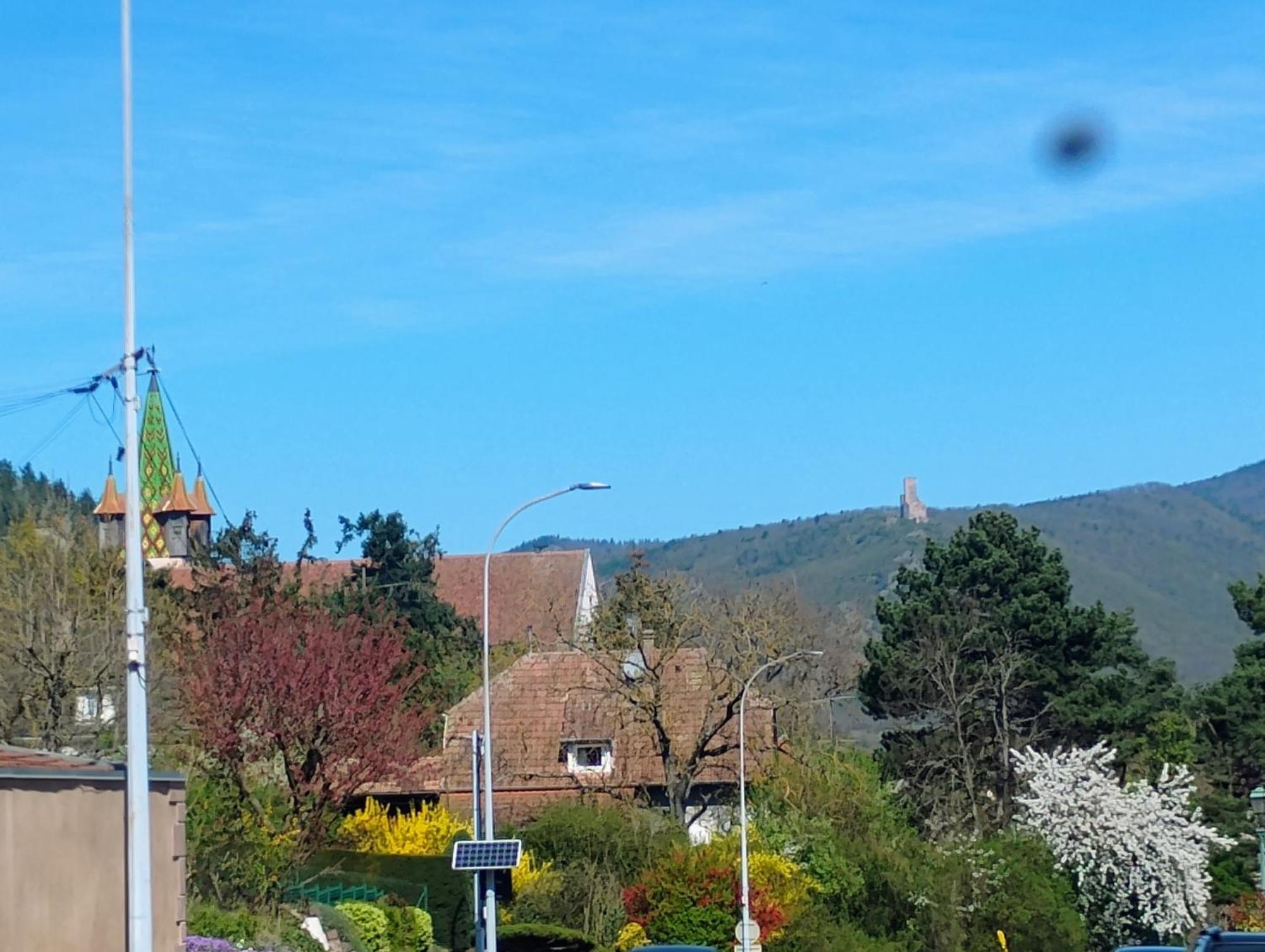 Gite Le Marronnier - Au Calme - Parking & Terrasse - Pres De Colmar Et Riquewihr - Route Des Vins Шатенуа Екстер'єр фото