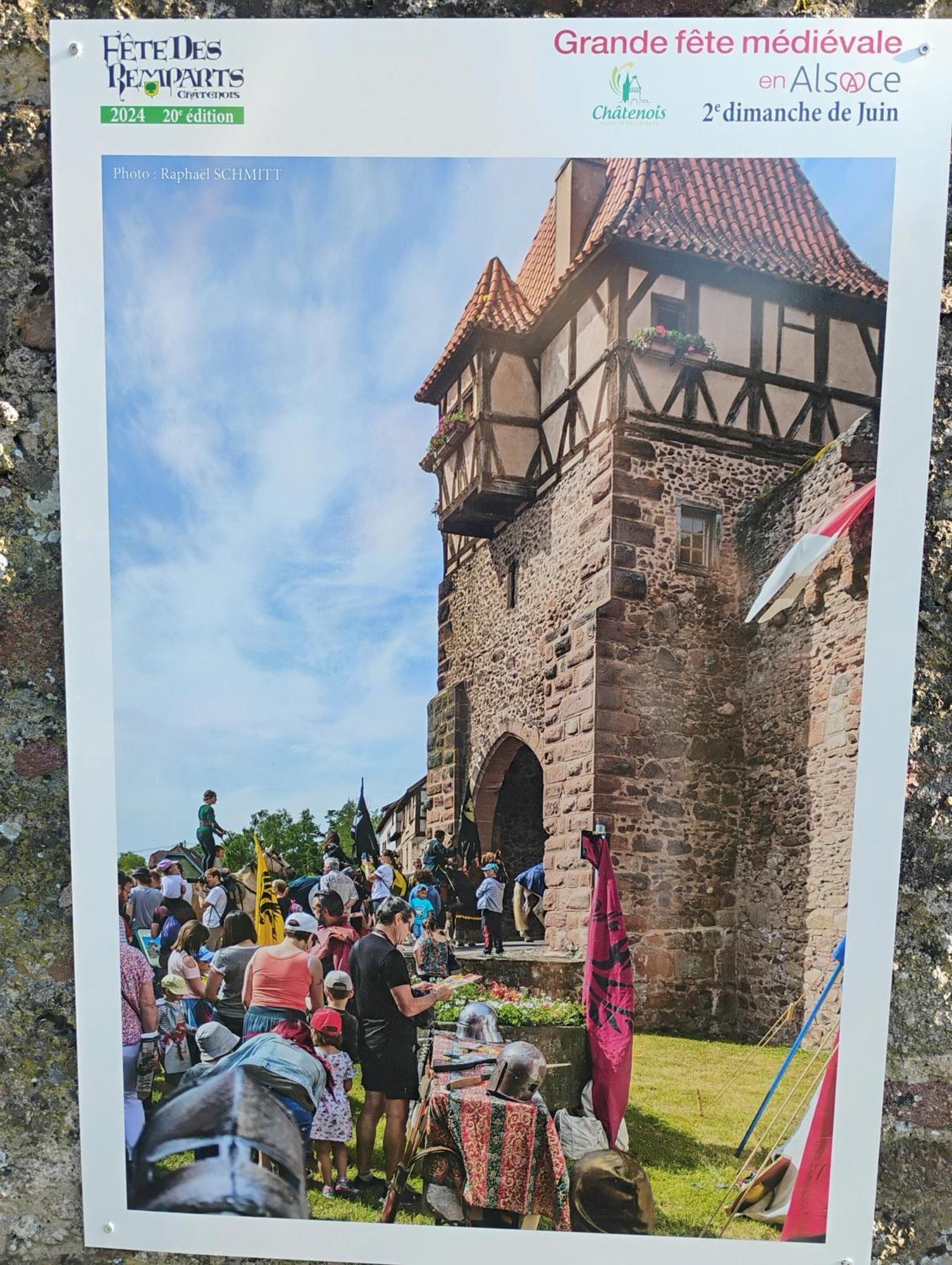 Gite Le Marronnier - Au Calme - Parking & Terrasse - Pres De Colmar Et Riquewihr - Route Des Vins Шатенуа Екстер'єр фото